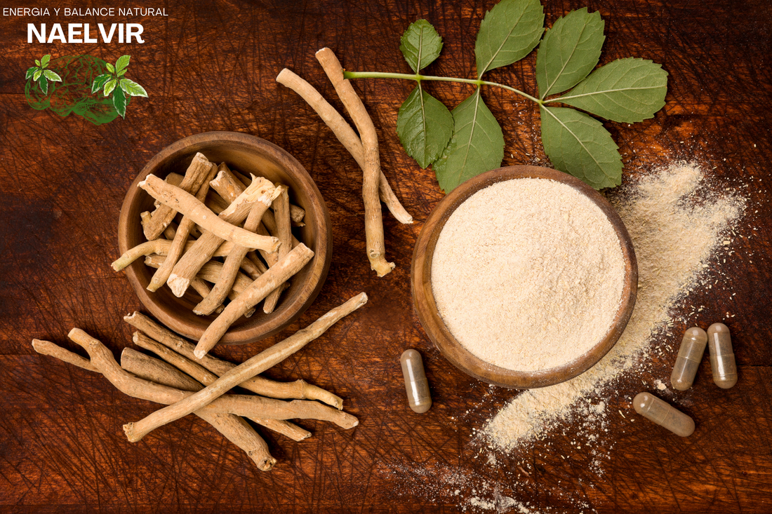 Beneficios de la Ashwagandha: menos estrés, mejor sueño y energía estable