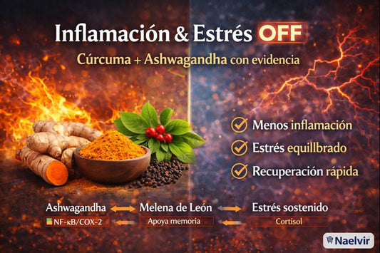 Cúrcuma + Ashwagandha: doble defensa contra inflamación y estrés