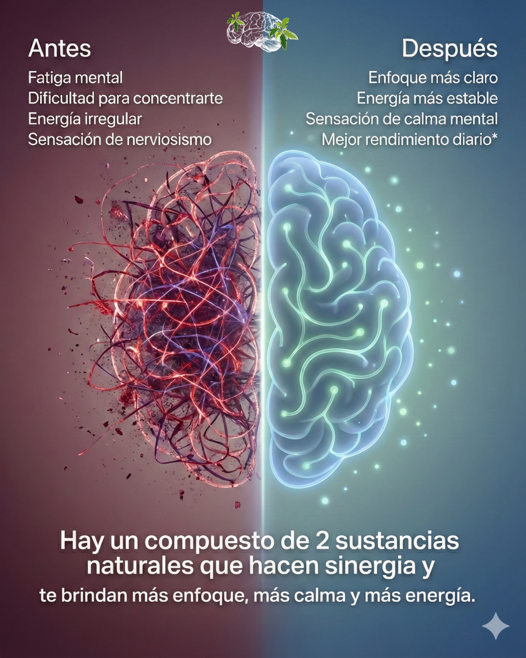 L-Teanina + Extracto de Guaraná 4:1 | Enfoque y Energía