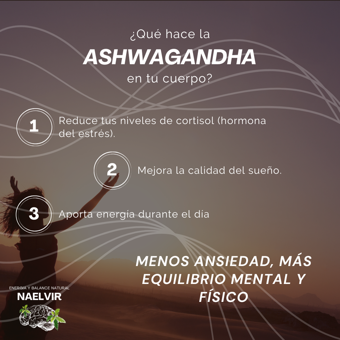 Extracto de Ashwagandha 10:1 600 mg – 60 cápsulas