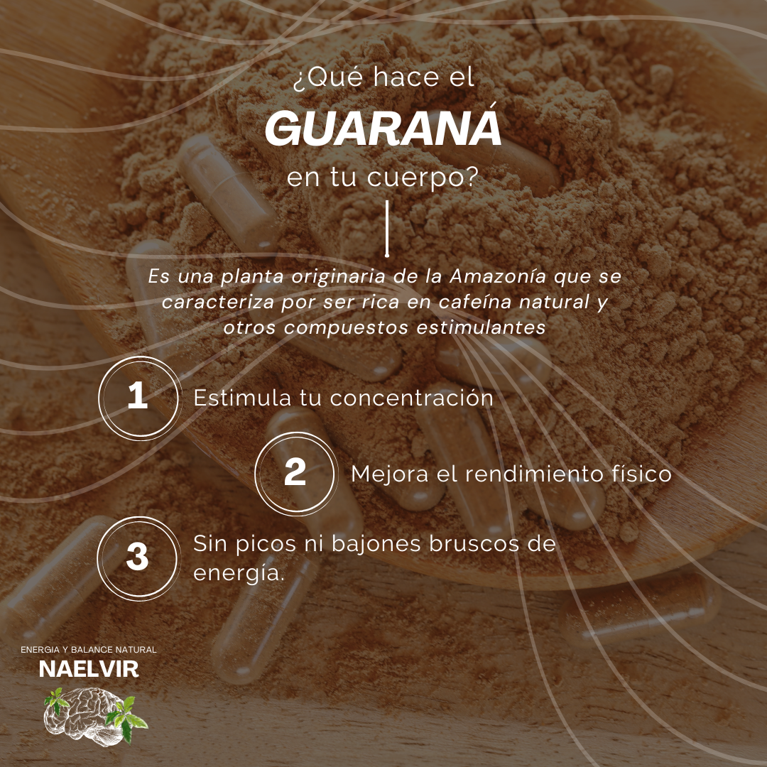 Extracto de Guaraná 4:1 500 mg – Energía y enfoque natural