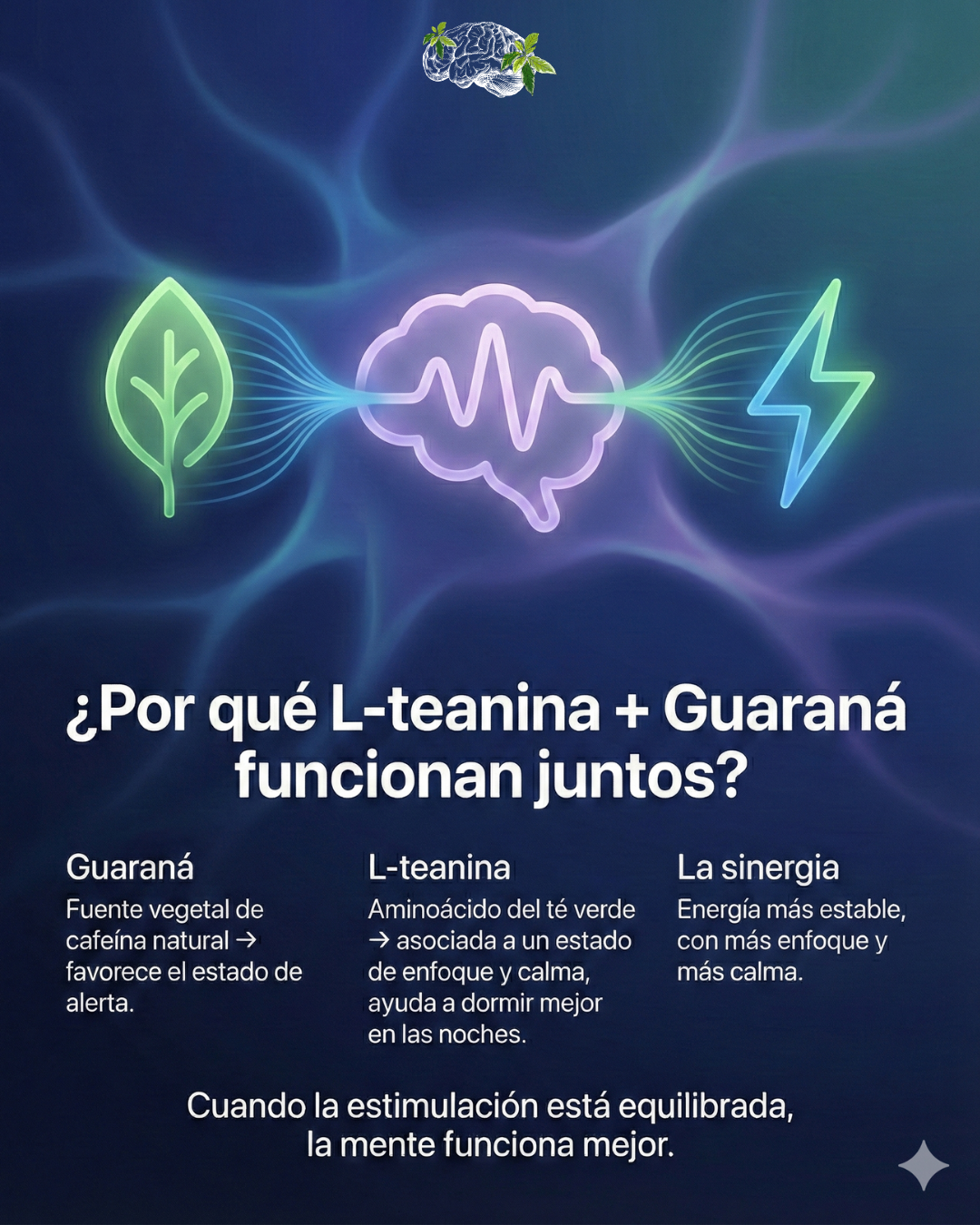 L-Teanina + Extracto de Guaraná 4:1 | Enfoque y Energía