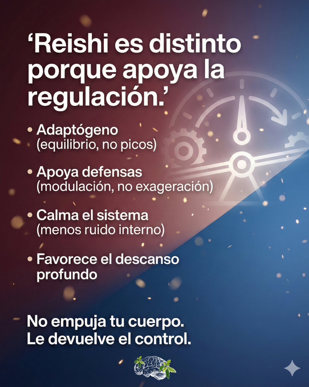 Reishi 1000 mg | Regulación Natural – Naelvir