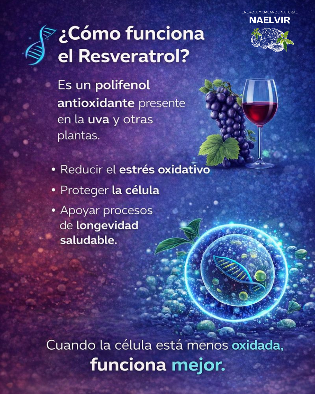 Resveratrol 1000 mg – Longevidad y Piel