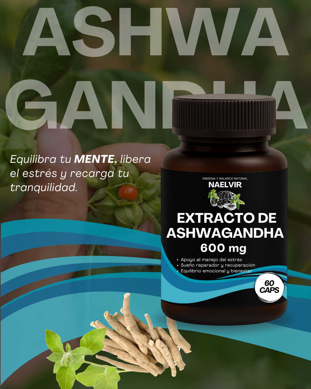 Pack Bienestar: Cúrcuma + Ashwagandha Extracto 10:1