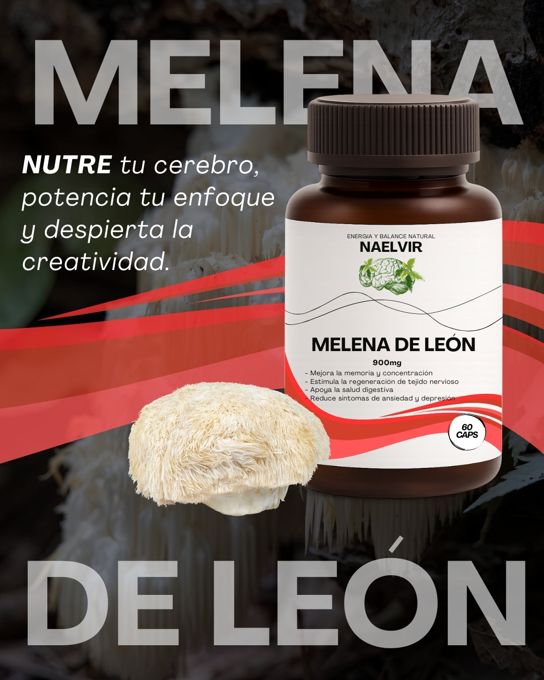 Pack Vitalidad (Ashwagandha + Melena + Guaraná)